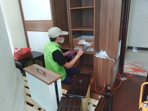 守護清新空氣，構筑健康空間——綠凈源廈門辦公室除甲醛公司專業(yè)服務解析